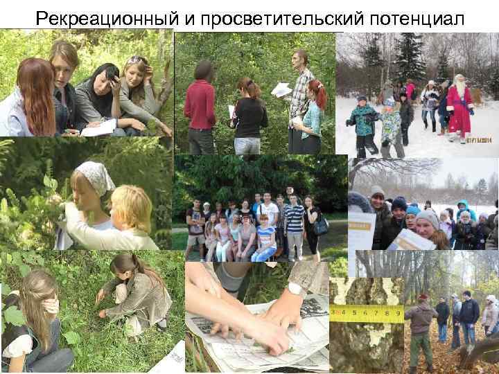 Рекреационный и просветительский потенциал Рекреационный и просветительский потенциал
