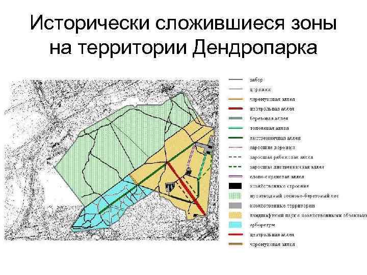 Исторически сложившиеся зоны на территории Дендропарка Исторически сложившиеся зоны на территории Дендропарка