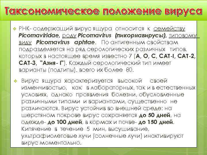 Таксономическое положение вируса v  РНК- содержащий вирус ящура относится к семейству Picornaviridae, роду
