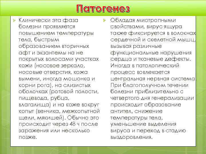     Патогенез Ø  Клинически эта фаза  Ø  Обладая