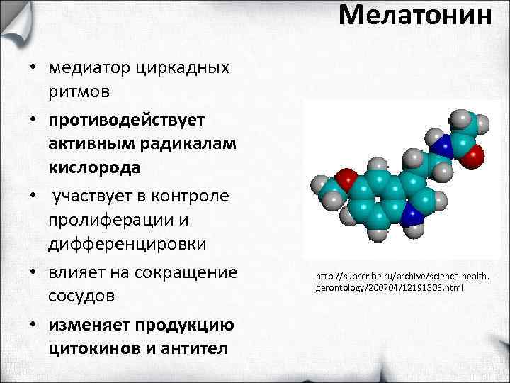      Мелатонин • медиатор циркадных  ритмов • противодействует 