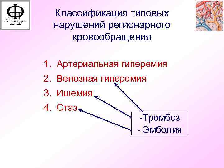  Классификация типовых  нарушений регионарного  кровообращения 1. Артериальная гиперемия 2. Венозная гиперемия