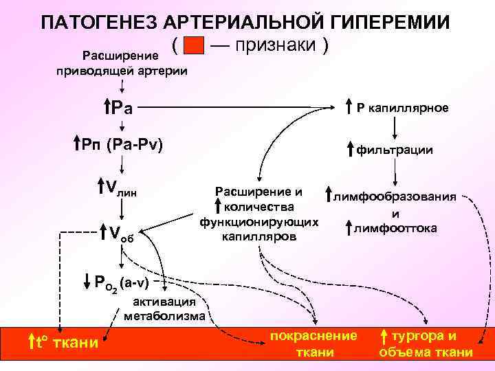 ПАТОГЕНЕЗ АРТЕРИАЛЬНОЙ ГИПЕРЕМИИ  Расширение    ( — признаки )  приводящей