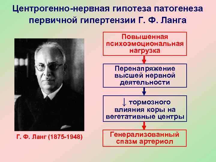 Центрогенно-нервная гипотеза патогенеза  первичной гипертензии Г. Ф. Ланга     Повышенная