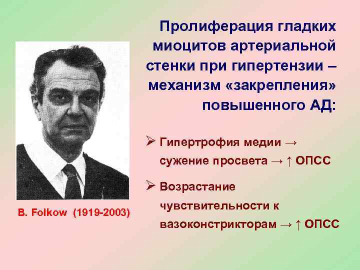      Пролиферация гладких     миоцитов артериальной 