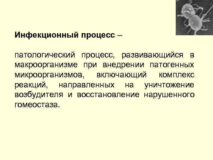 Инфекционный процесс – патологический процесс, развивающийся в макроорганизме при внедрении патогенных микроорганизмов, включающий комплекс