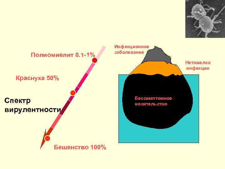      Инфекционное     заболевание  Полиомиелит 0.