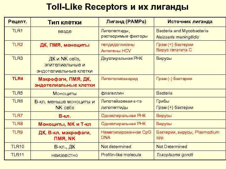    Toll-Like Receptors и их лиганды Рецепт.   Тип клетки 