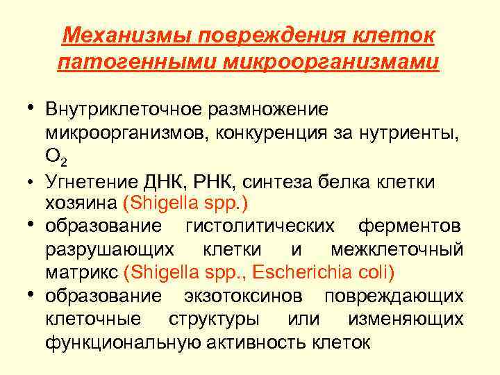   Механизмы повреждения клеток  патогенными микроорганизмами  • Внутриклеточное размножение  микроорганизмов,