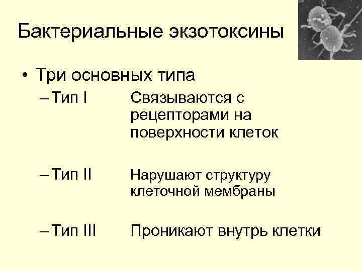 Бактериальные экзотоксины  • Три основных типа  – Тип I Связываются с 