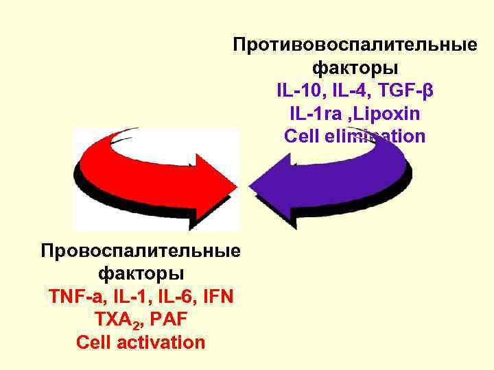      Противовоспалительные      факторы  