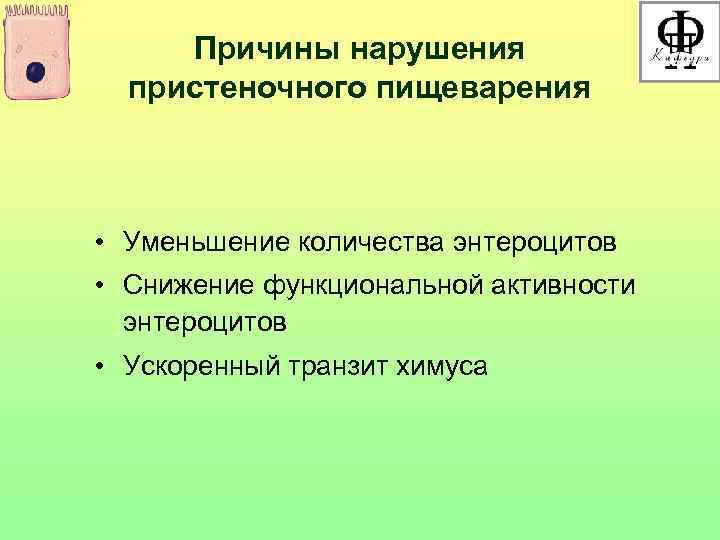  Причины нарушения  пристеночного пищеварения • Уменьшение количества энтероцитов • Снижение функциональной активности