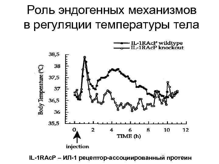 Роль эндогенных механизмов в регуляции температуры тела IL-1 RAc. P – ИЛ-1 рецептор-ассоциированный протеин