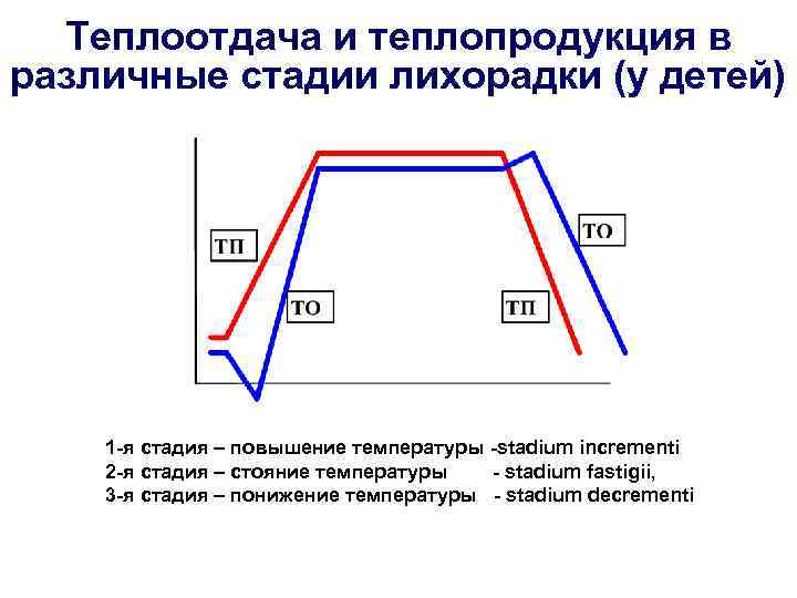  Теплоотдача и теплопродукция в различные стадии лихорадки (у детей)   1 -я