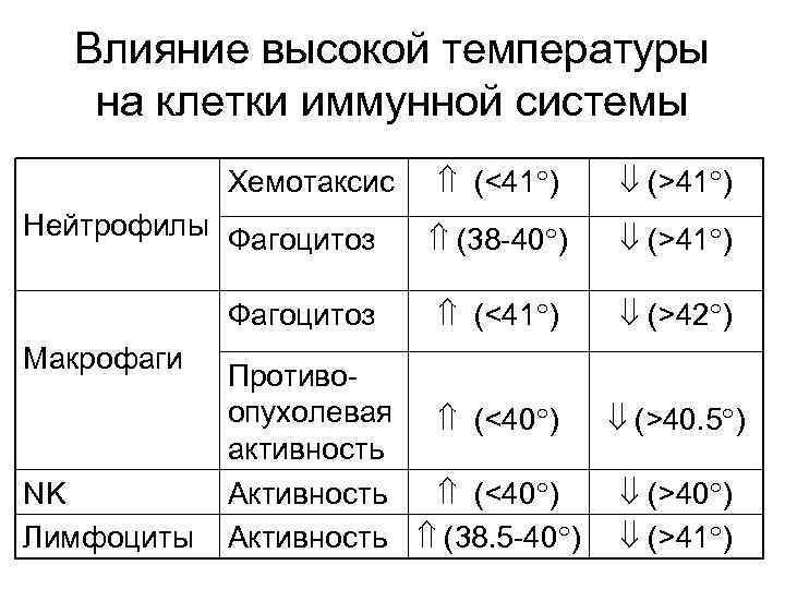  Влияние высокой температуры  на клетки иммунной системы   Хемотаксис (<41 )