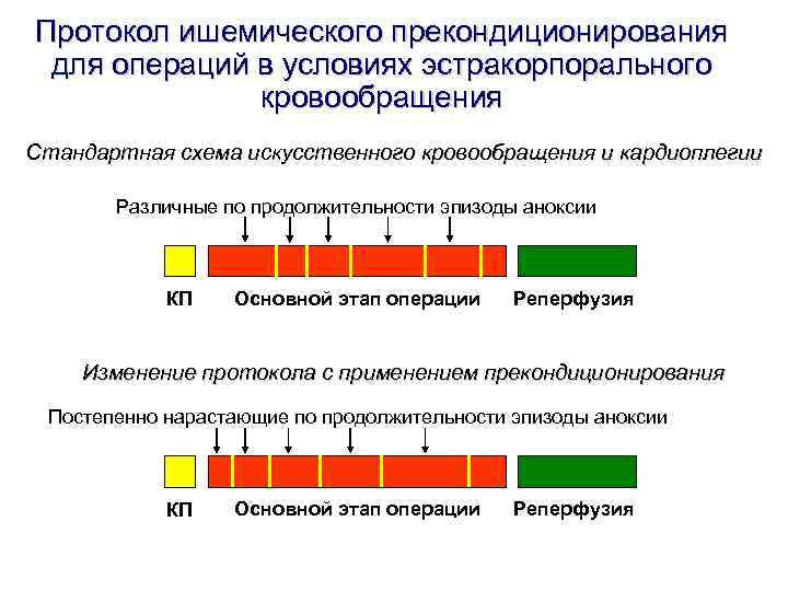 Протокол ишемического прекондиционирования для операций в условиях эстракорпорального кровообращения Стандартная схема Протокол ишемического прекондиционирования для операций в условиях эстракорпорального кровообращения Стандартная схема