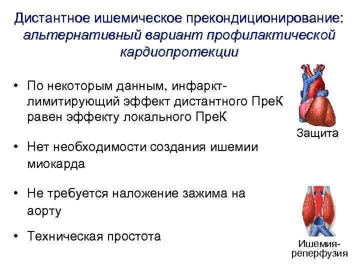 Дистантное ишемическое прекондиционирование: альтернативный вариант профилактической кардиопротекции • По Дистантное ишемическое прекондиционирование: альтернативный вариант профилактической кардиопротекции • По