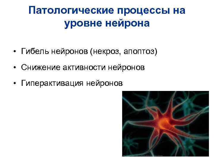 Патологические процессы на уровне нейрона • Гибель нейронов (некроз, Патологические процессы на уровне нейрона • Гибель нейронов (некроз,