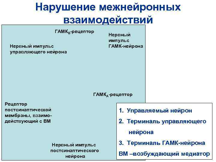 Нарушение межнейронных взаимодействий ГАМКВ-рецептор Нарушение межнейронных взаимодействий ГАМКВ-рецептор