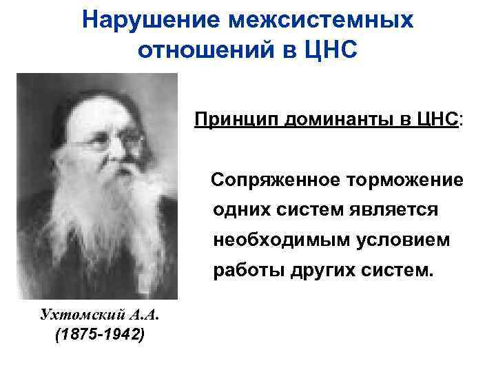 Нарушение деятельности. Учение о доминанте Ухтомского. Ухтомский явление Доминанты. Ухтомский а.а. 