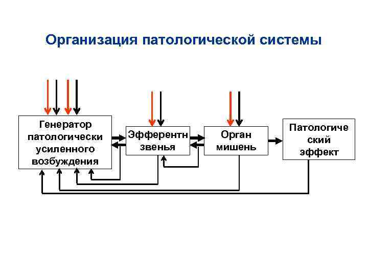 Организация патологической системы Генератор Патологиче патологически Организация патологической системы Генератор Патологиче патологически