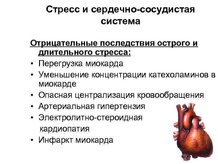 Стресс и сердечно-сосудистая система Отрицательные последствия острого и Стресс и сердечно-сосудистая система Отрицательные последствия острого и