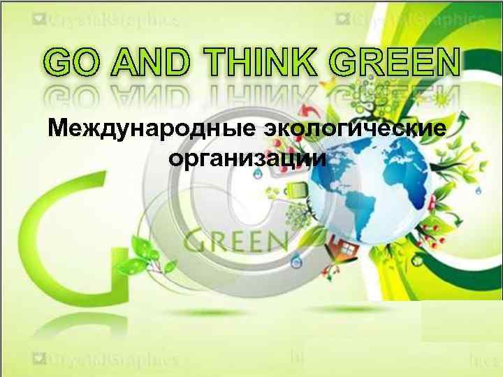 Международные экологические организации Международные экологические организации