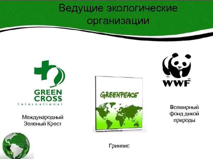 Ведущие экологические организации Всемирный Ведущие экологические организации Всемирный