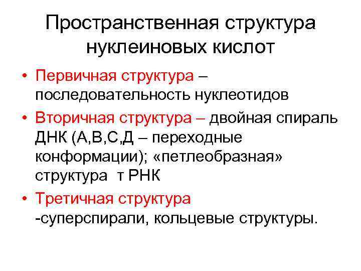  Пространственная структура нуклеиновых кислот • Первичная структура –  последовательность нуклеотидов • Вторичная