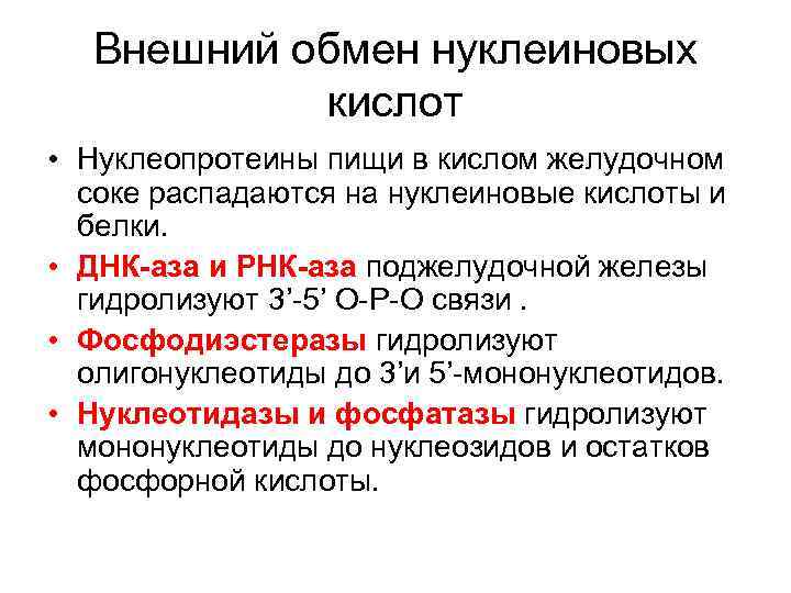  Внешний обмен нуклеиновых  кислот • Нуклеопротеины пищи в кислом желудочном  соке