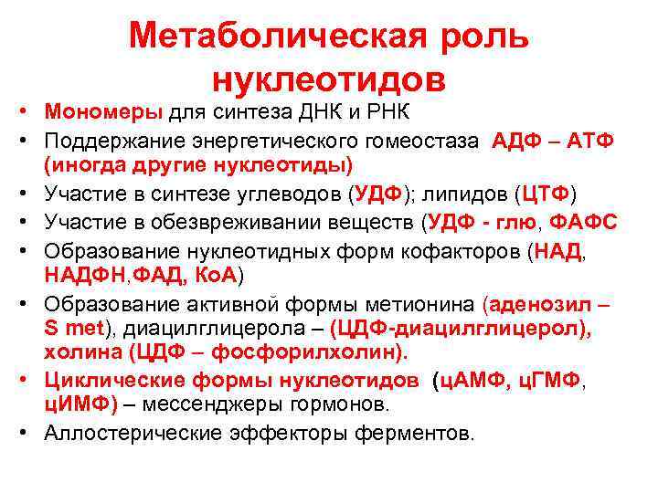    Метаболическая роль   нуклеотидов • Мономеры для синтеза ДНК и