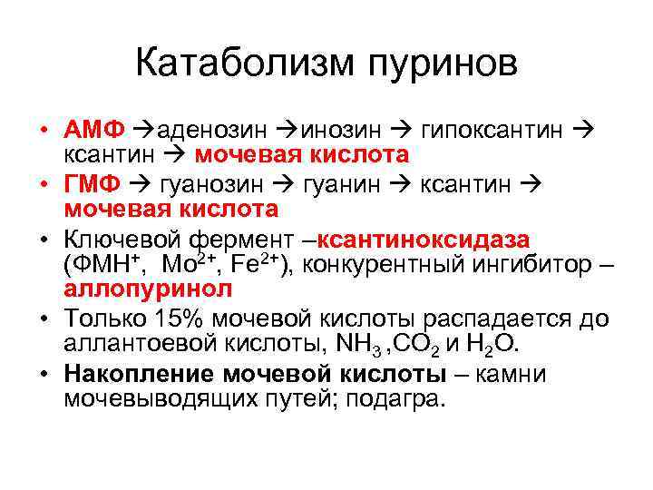   Катаболизм пуринов • АМФ аденозин инозин  гипоксантин  мочевая кислота •