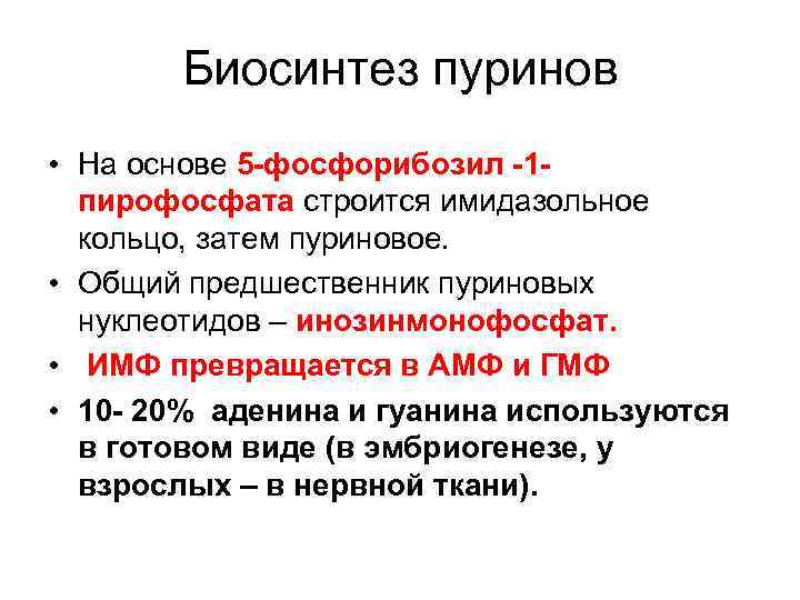  Биосинтез пуринов • На основе 5 -фосфорибозил -1 -  пирофосфата строится