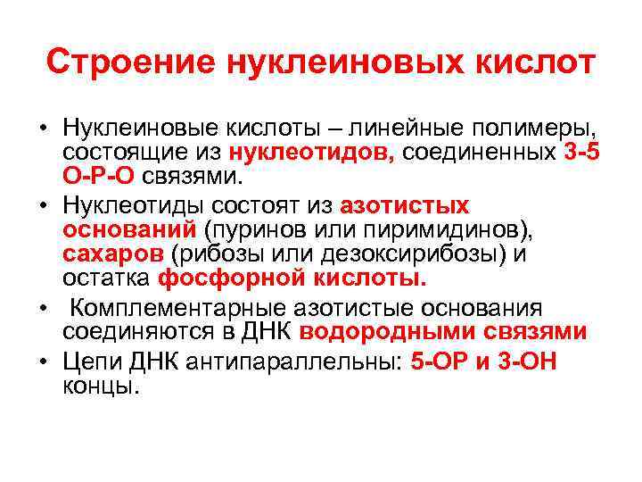 Строение нуклеиновых кислот • Нуклеиновые кислоты – линейные полимеры,  состоящие из нуклеотидов, соединенных