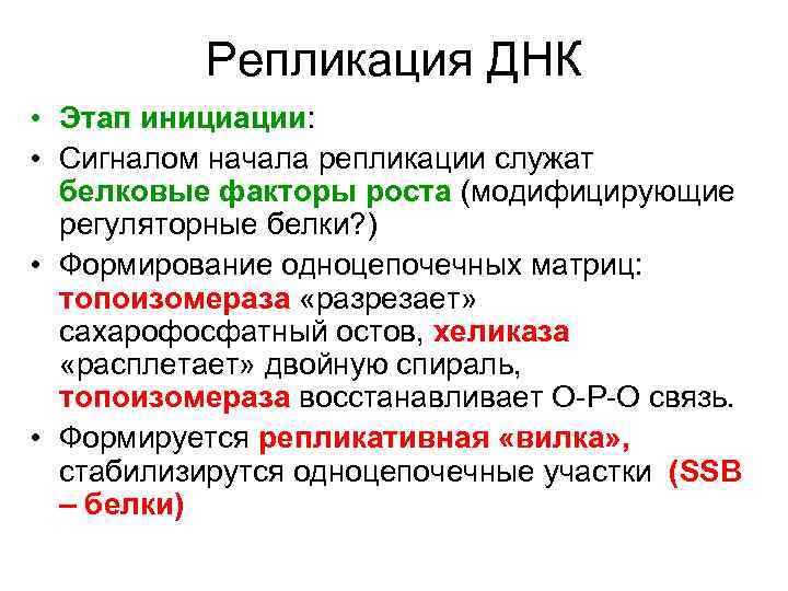    Репликация ДНК • Этап инициации:  • Сигналом начала репликации служат