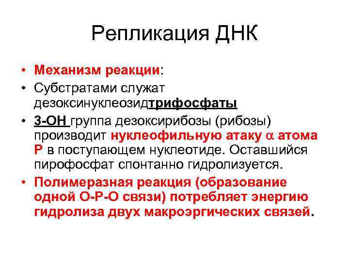    Репликация ДНК • Механизм реакции:  • Субстратами служат  дезоксинуклеозидтрифосфаты