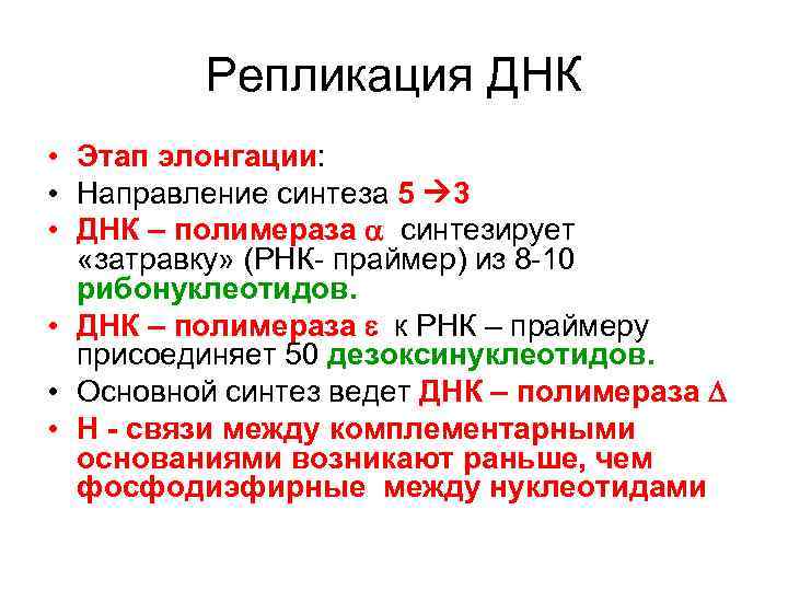   Репликация ДНК • Этап элонгации:  • Направление синтеза 5 3