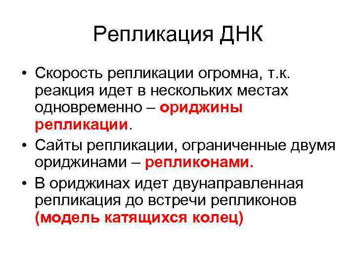   Репликация ДНК • Скорость репликации огромна, т. к.  реакция идет в