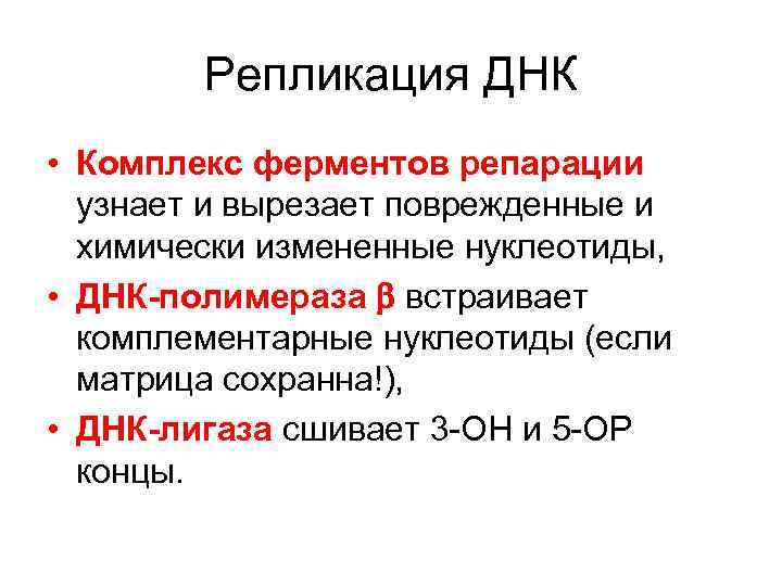   Репликация ДНК • Комплекс ферментов репарации  узнает и вырезает поврежденные и