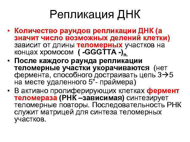   Репликация ДНК • Количество раундов репликации ДНК (а  значит число