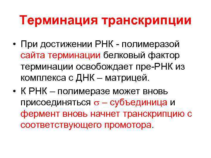  Терминация транскрипции • При достижении РНК - полимеразой  сайта терминации белковый фактор