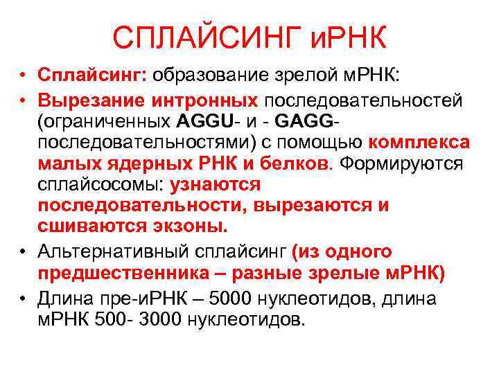   СПЛАЙСИНГ и. РНК • Сплайсинг: образование зрелой м. РНК:  • Вырезание