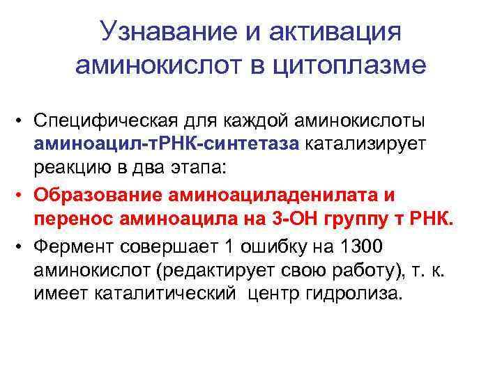   Узнавание и активация  аминокислот в цитоплазме • Специфическая для каждой аминокислоты