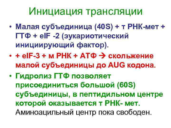   Инициация трансляции • Малая субъединица (40 S) + т РНК-мет + 
