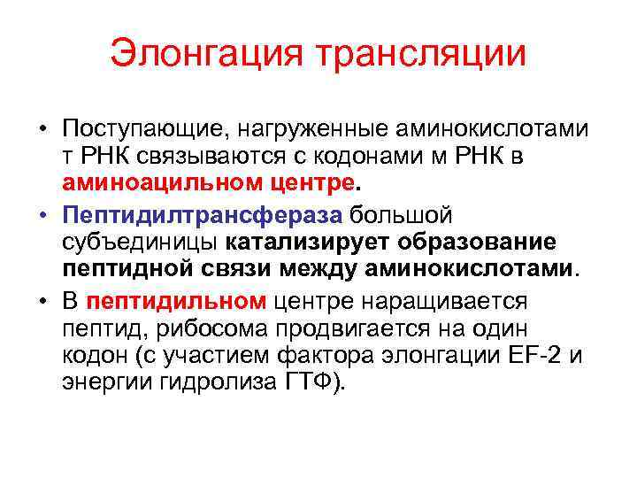  Элонгация трансляции • Поступающие, нагруженные аминокислотами  т РНК связываются с кодонами м