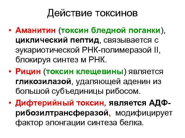   Действие токсинов • Аманитин (токсин бледной поганки),  циклический пептид, связывается с