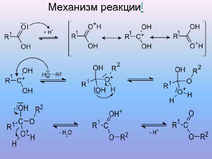 Реакция п