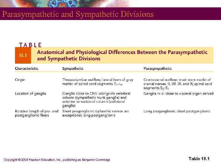 Parasympathetic and Sympathetic Divisions Copyright © 2008 Pearson Education, Inc. , publishing as Benjamin