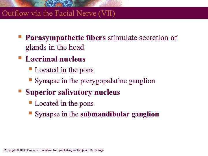 Outflow via the Facial Nerve (VII)   §  Parasympathetic fibers stimulate secretion