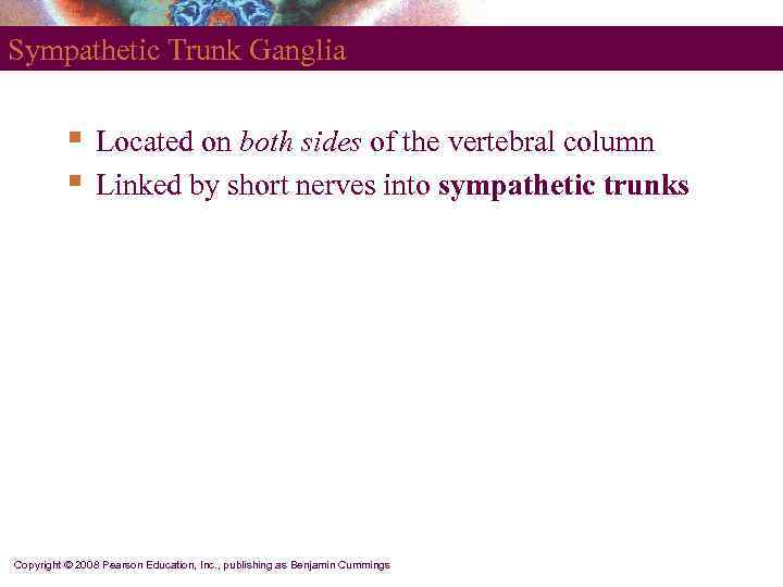 Sympathetic Trunk Ganglia   §  Located on both sides of the vertebral